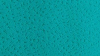 Pelón pergamino labrado